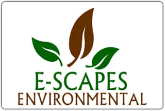 E-Scapes-Environmental Work experience